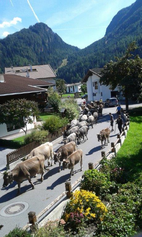 Haus Stefan Villa Längenfeld Kültér fotó